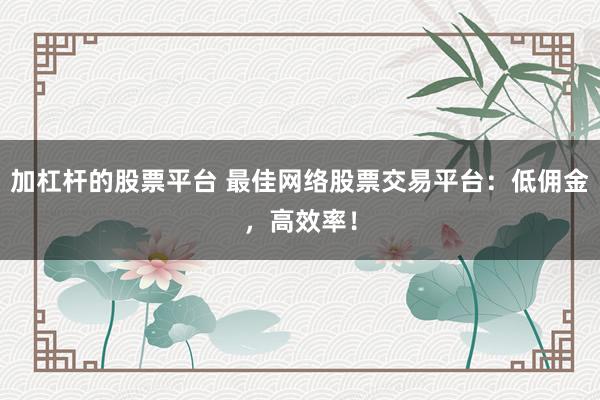 加杠杆的股票平台 最佳网络股票交易平台：低佣金，高效率！