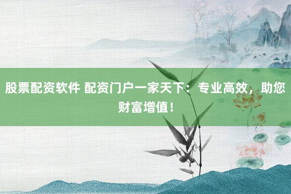 股票配资软件 配资门户一家天下：专业高效，助您财富增值！