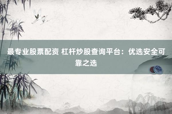 最专业股票配资 杠杆炒股查询平台：优选安全可靠之选