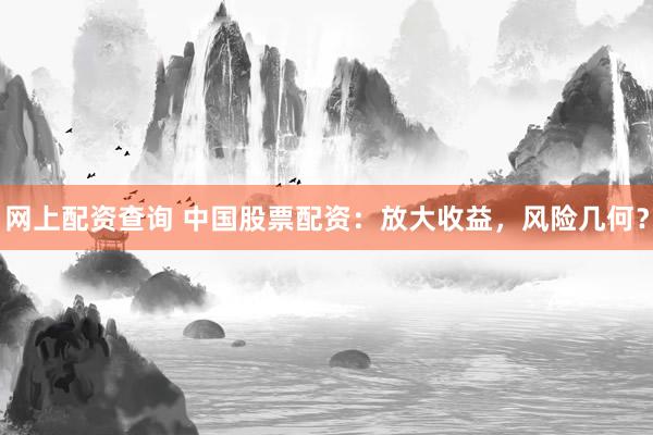 网上配资查询 中国股票配资：放大收益，风险几何？