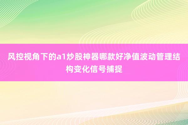 风控视角下的a1炒股神器哪款好净值波动管理结构变化信号捕捉